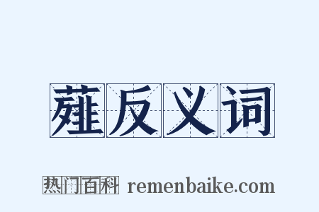 薤反义词是什么意思的图片